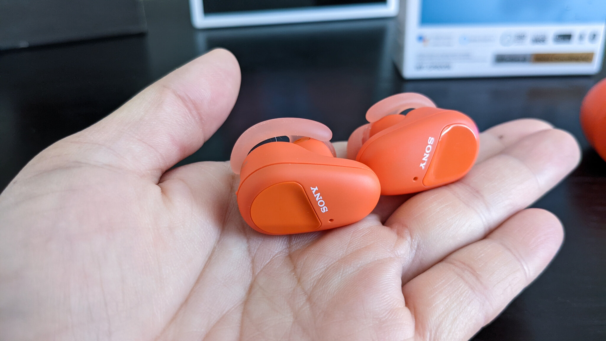 Sony Earbuds in Hands.jpg